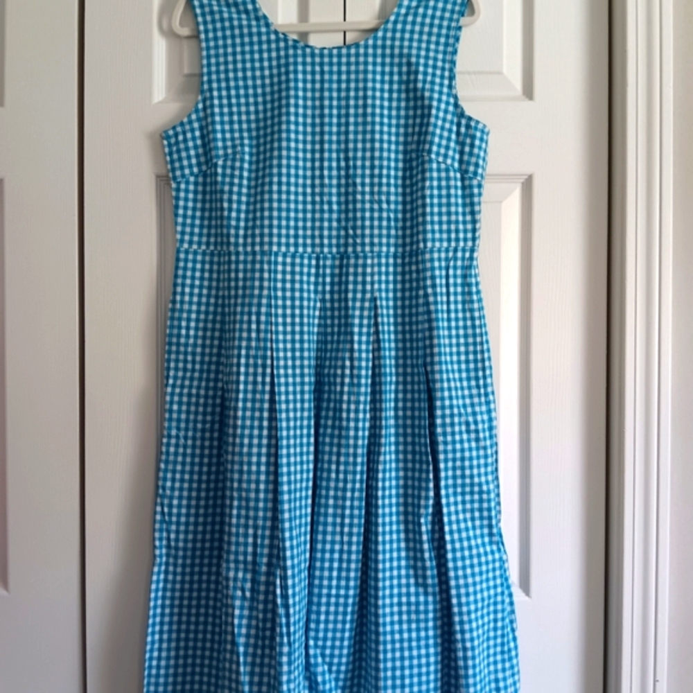 Vintage Vicki Wayne Blue Gingham Sleeveless Dress